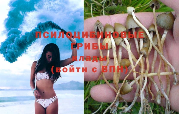 индика Белоозёрский