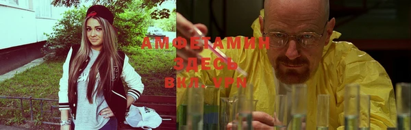 крисы Белокуриха