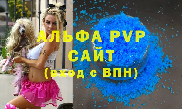 крисы Белокуриха