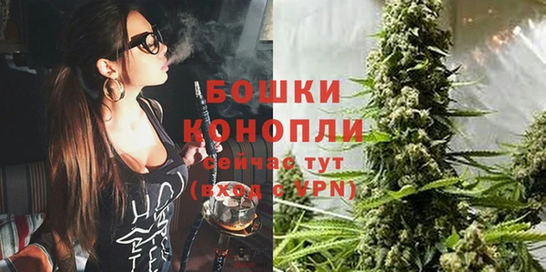 индика Белоозёрский