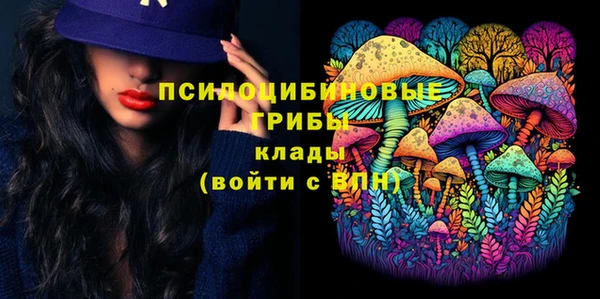 индика Белоозёрский