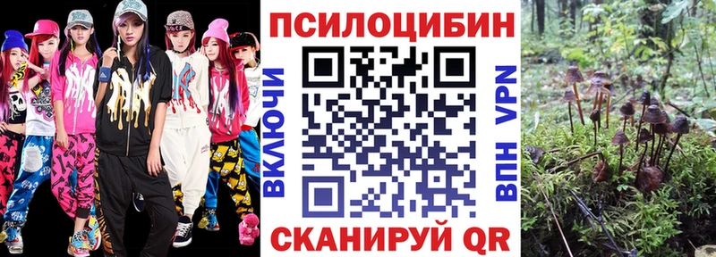 Галлюциногенные грибы мицелий  Купить закладки  Ливны 