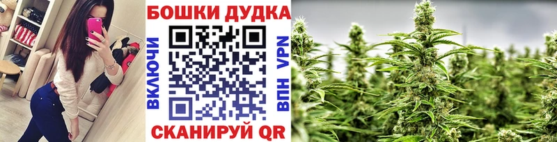 Купить где  Ливны  Конопля Bruce Banner 